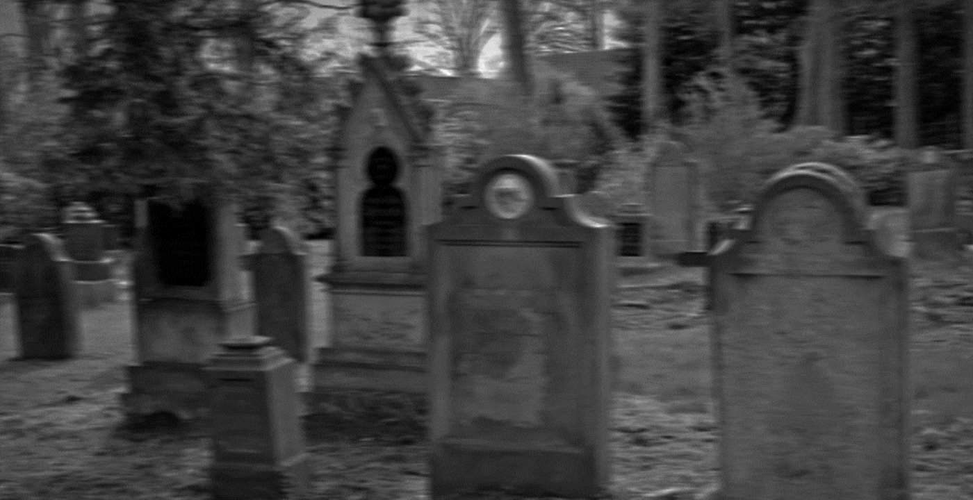 Proyecto Wolf&Bones 19